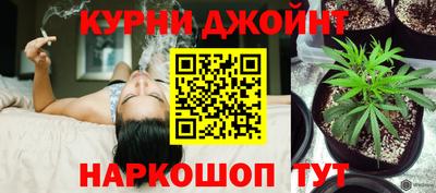jwh Шебекино