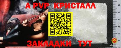 дмт Шахты