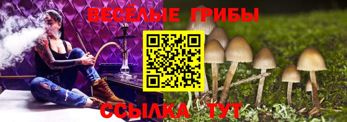 Белорецк  Галлюциногенные грибы прущие грибы  Вход с VPN  Галлюциногенные грибы ЛСД 